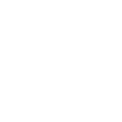 Revision  Hip Replacement Surgery